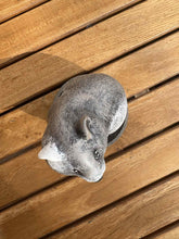 Carica l'immagine nel visualizzatore di Gallery, urne pour hamster vue du dessus